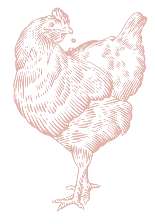 Gezeichnetes Huhn im Familienhotel in Niedersachsen