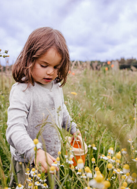 Mädchen pflückt Blumen im Feld