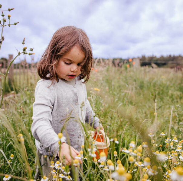 Mädchen pflückt Blumen im Feld