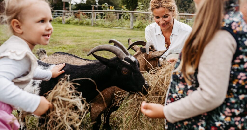 Kleine Mädchen füttern mit ihrer Mutter Ziegen mit Stroh