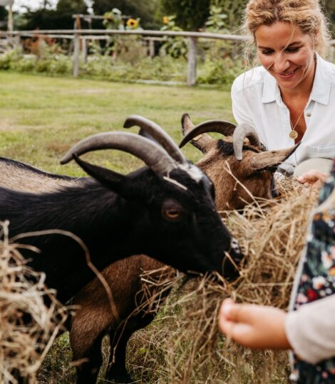Kleine Mädchen füttern mit ihrer Mutter Ziegen mit Stroh