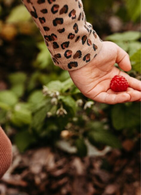 Kind hält eine Himbeere in der Hand