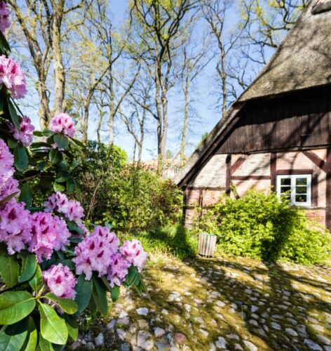 Rosa Blüten vor einem Holzfachwerkhaus mitten in der Natur