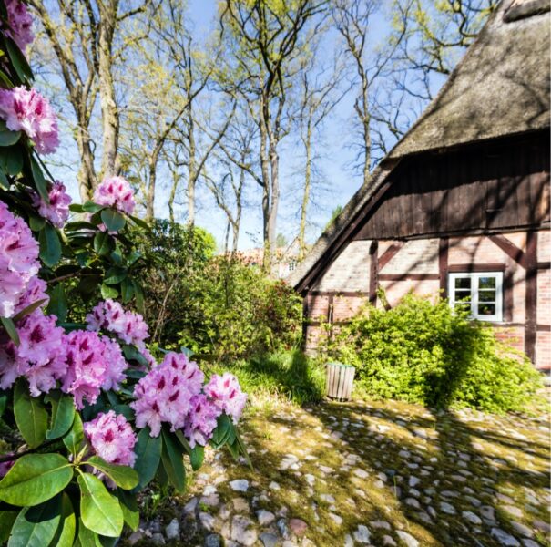 Rosa Blüten vor einem Holzfachwerkhaus mitten in der Natur