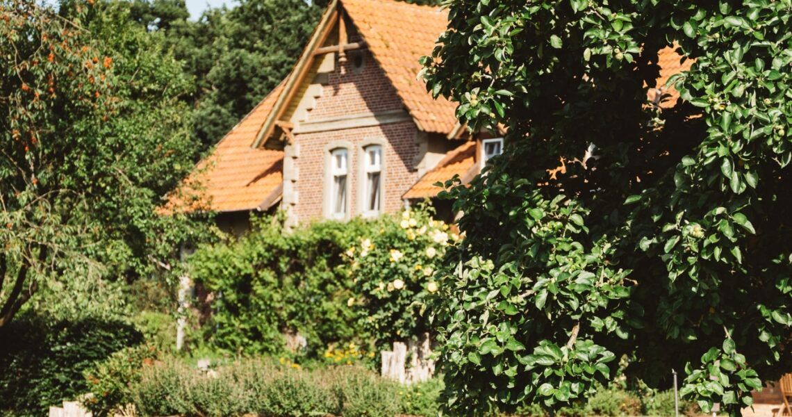 Grüne Wiese hinter dem Landhaus Averbeck