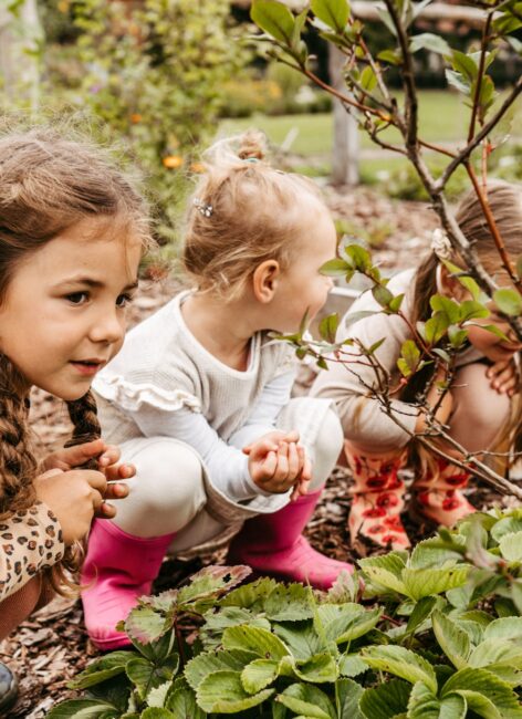 Drei kleine Mädchen hocken vor einer Reihe Erdbeerpflanzen im Hotel mit Kinderbetreuung