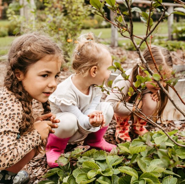 Drei kleine Mädchen hocken vor einer Reihe Erdbeerpflanzen im Hotel mit Kinderbetreuung