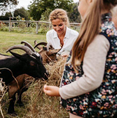 Mutter füttert mit Ihren Töchtern Ziegen