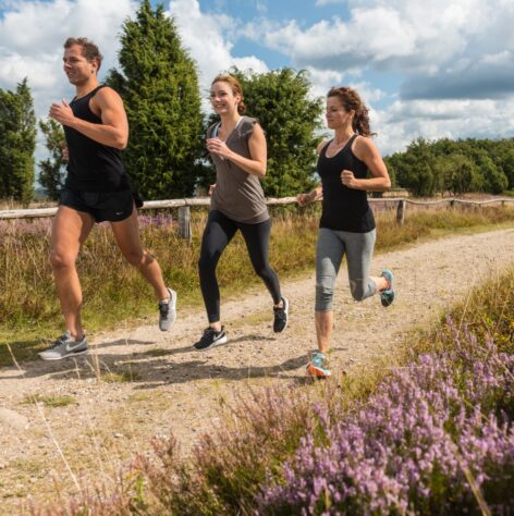 Drei Jogger laufen über einen Feldweg durch die Heidelandschaft