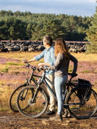 Ein Paar steht mit Fahrrädern auf einer Weide und beobachtet eine Schafsherde beim all inclusive Familienurlaub
