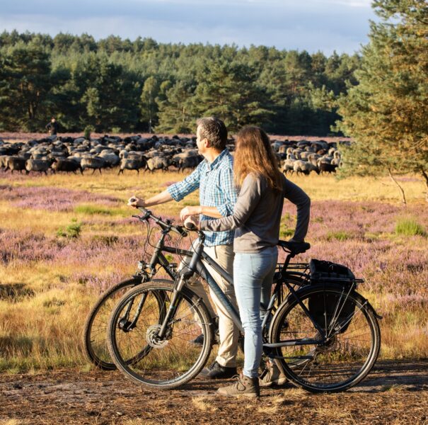Ein Paar steht mit Fahrrädern auf einer Weide und beobachtet eine Schafsherde beim all inclusive Familienurlaub