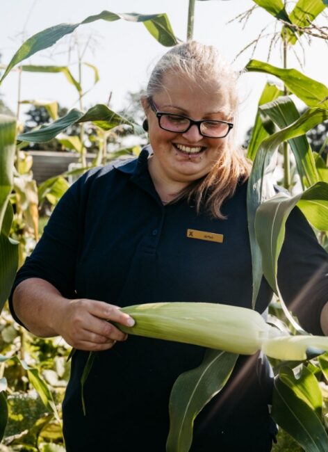 Lächelnde Mitarbeiterin des Landhaus Averbeck steht im Maisfeld und hält einen Maiskolben