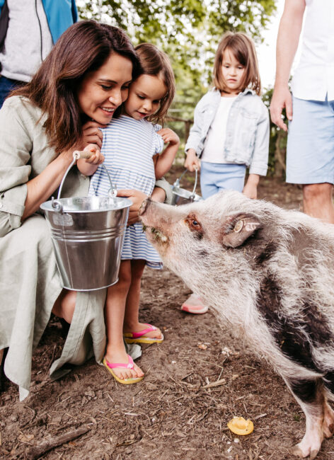 Tiere füttern, Mama und Kinder, Hausschwein