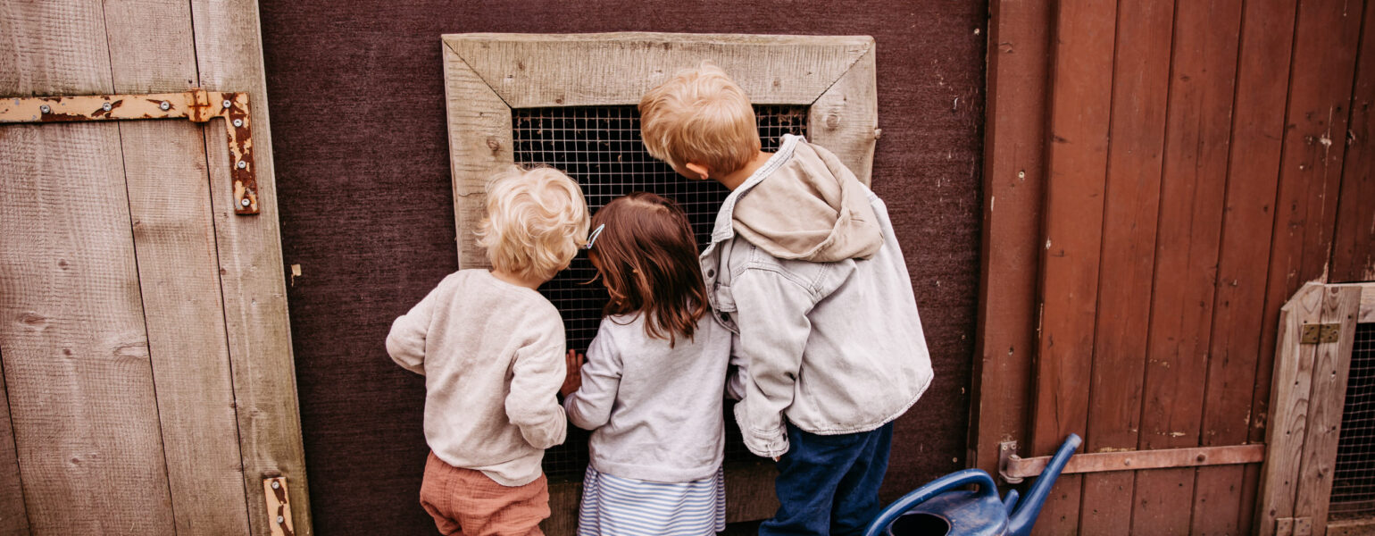 Kinder am Stall Hoftiere