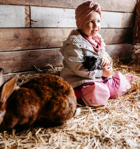 Kleines Mädchen sitzt im Hasenstall und hat einen Hasen auf dem Schoß im Familienhotel mit Bauernhof