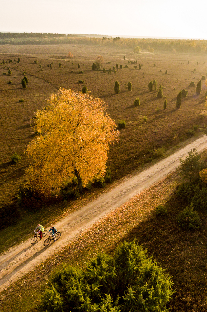Zwei Radfahrer aus der Vogelperspektive fahren auf dem Feldweg in ländlicher Herbstlandschaft