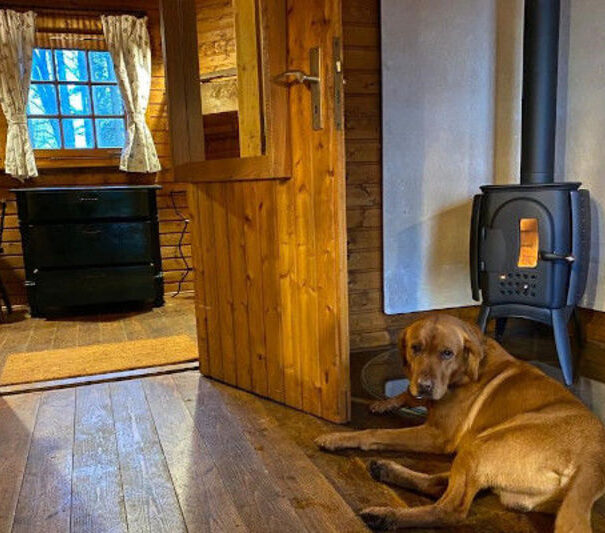 Hund liegt vor einem Holzofen in der rustikalen Jagdhütte